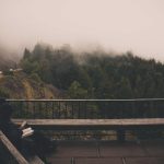 Shooting a whole roll of film in one city block — shot 6 of 7