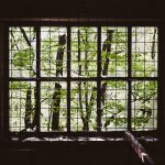 Train windows across three countries — shot 2 of 6